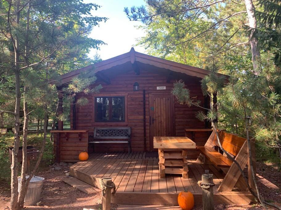 Honeybear Hideaway Cabin Hayward Exterior photo