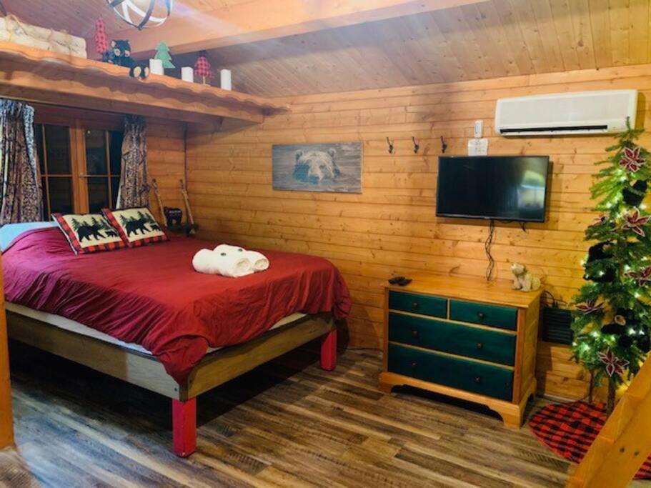 Honeybear Hideaway Cabin Hayward Exterior photo
