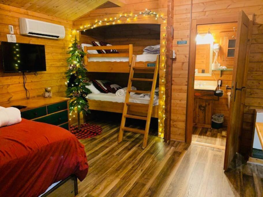 Honeybear Hideaway Cabin Hayward Exterior photo
