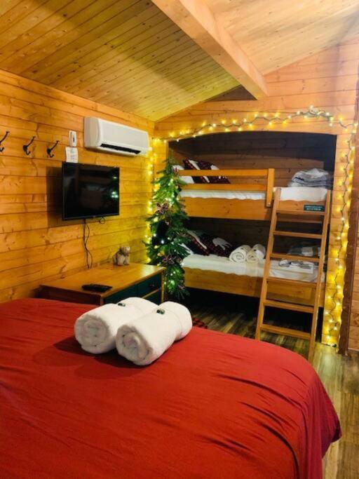 Honeybear Hideaway Cabin Hayward Exterior photo