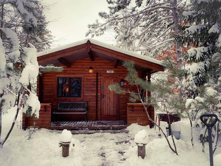 Honeybear Hideaway Cabin Hayward Exterior photo