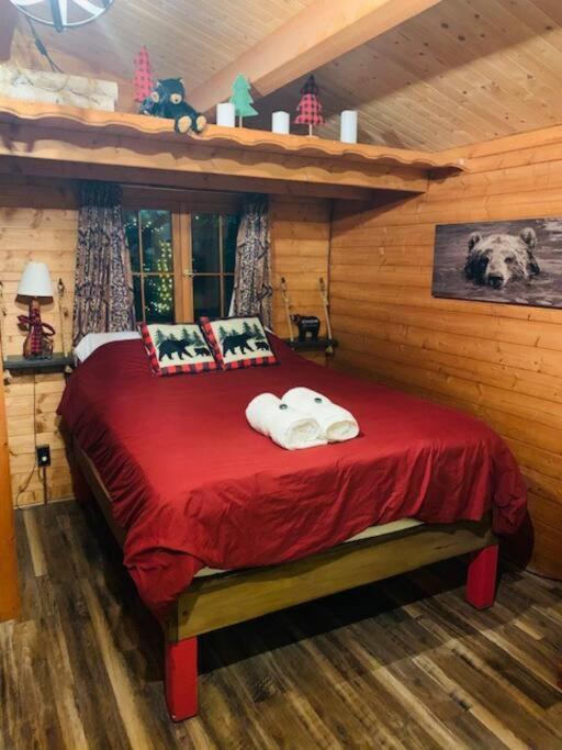 Honeybear Hideaway Cabin Hayward Exterior photo