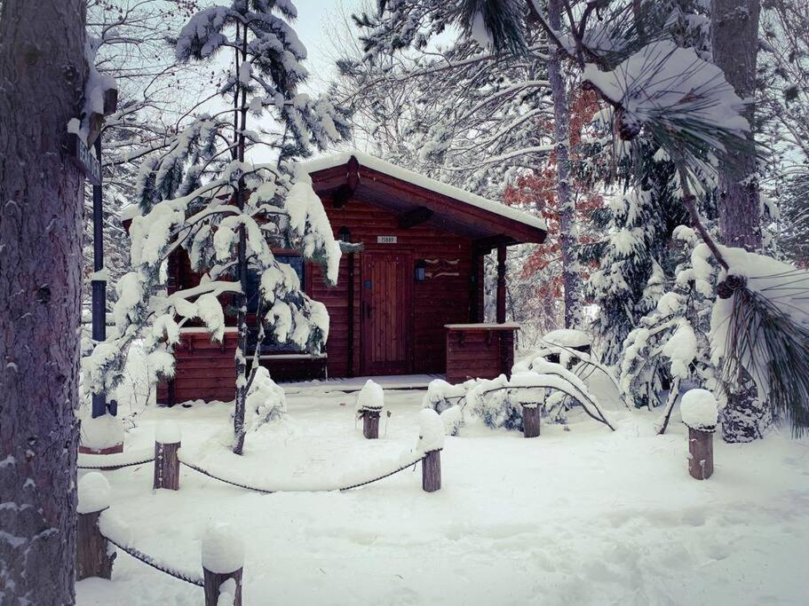 Honeybear Hideaway Cabin Hayward Exterior photo