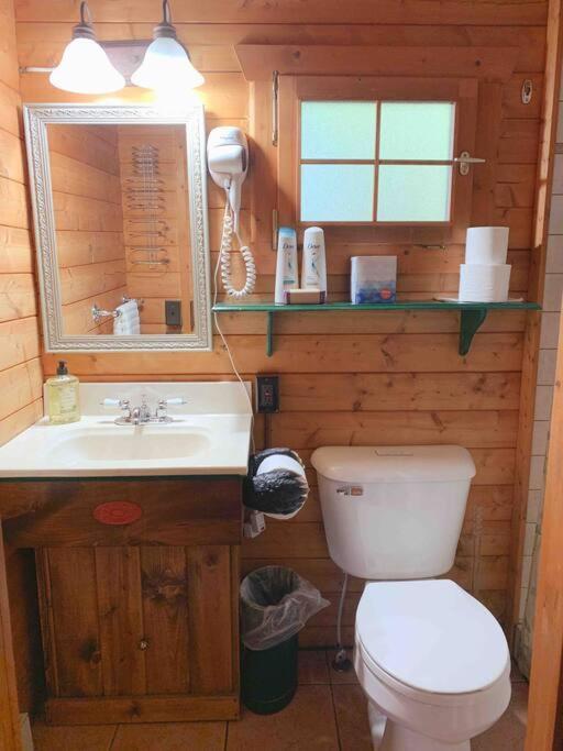 Honeybear Hideaway Cabin Hayward Exterior photo