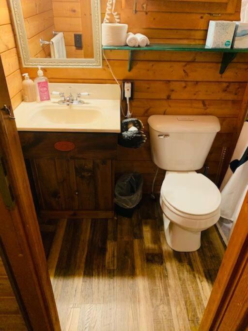 Honeybear Hideaway Cabin Hayward Exterior photo