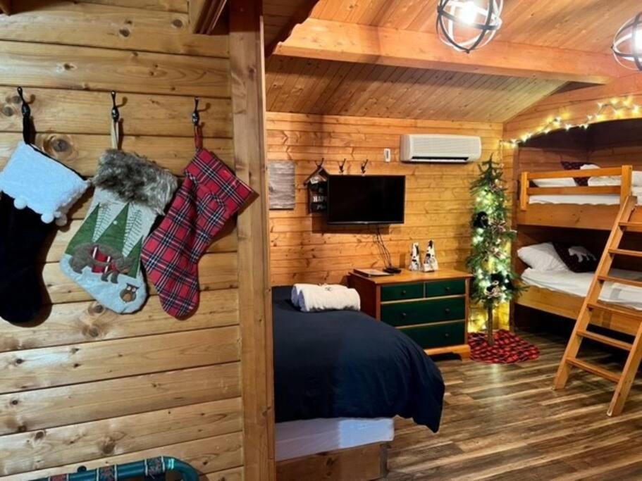 Honeybear Hideaway Cabin Hayward Exterior photo